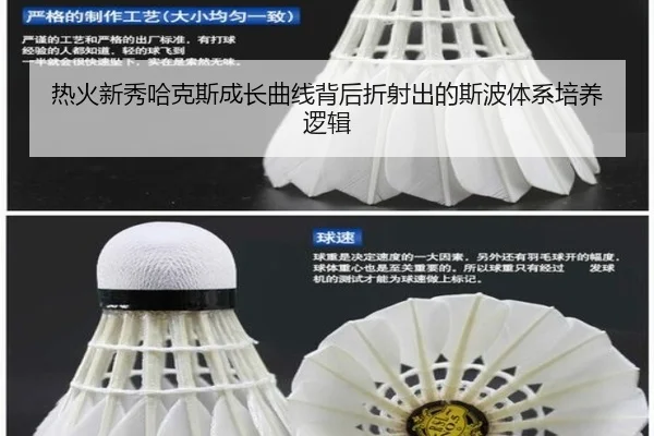 热火新秀哈克斯成长曲线背后折射出的斯波体系培养逻辑